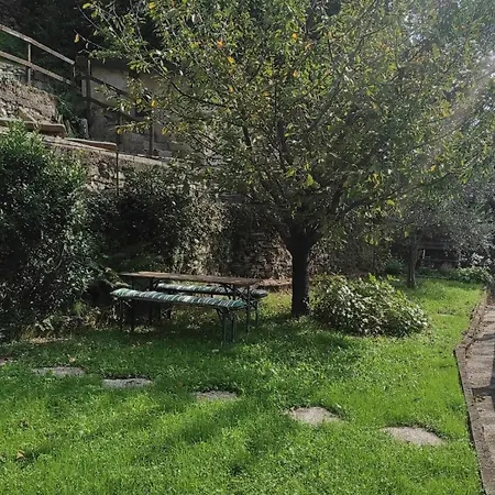 Prunus Avium View And Private Garden Appartement Blevio