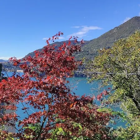 Prunus Avium View And Private Garden *