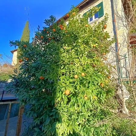 Appartement Prunus Avium View And Private Garden *